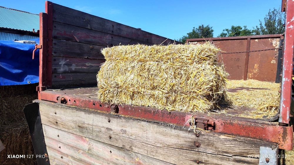 Продам солому в тюках
