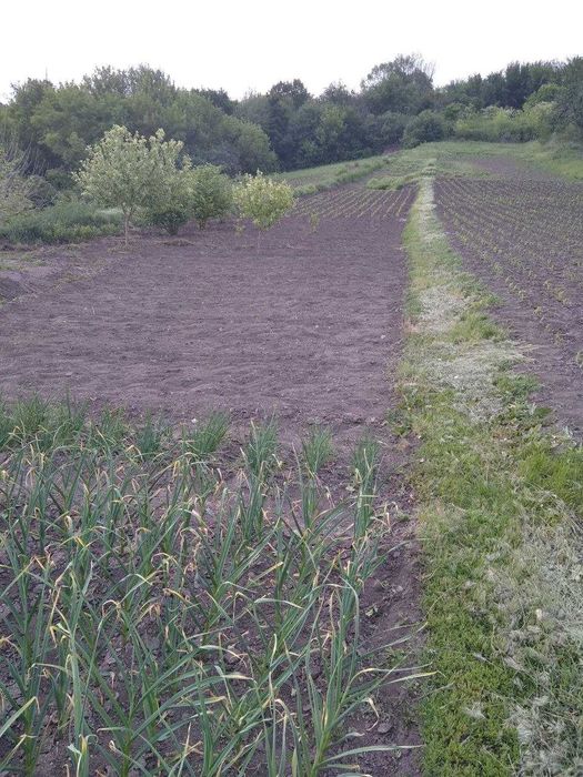 Продам будинок в селі Мілова