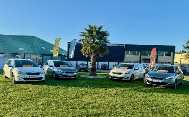 business-site-gallery-photo