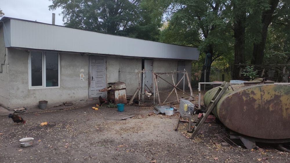 Будинок. Полтавська область, Гребінківський район, село Польове