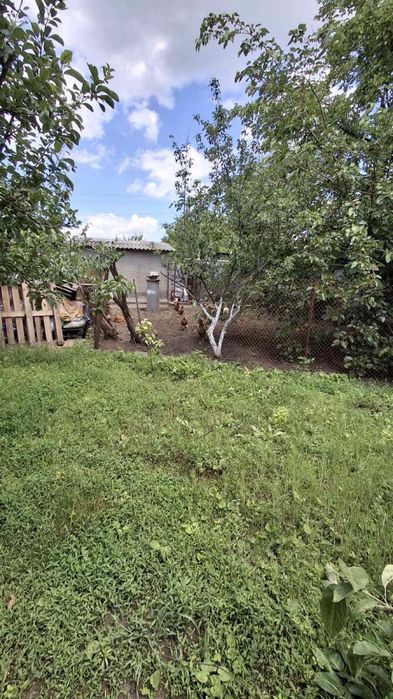 Продам  маленький 2к будиночок  30 кв м Кам‘янське Романково - View 4