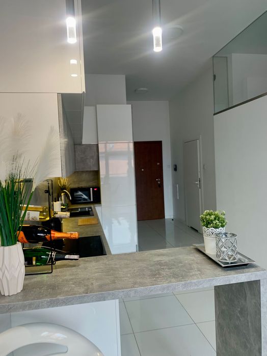 Ekskluzywny Apartament na prestiżowym osiedlu lofty, doby tygodnie