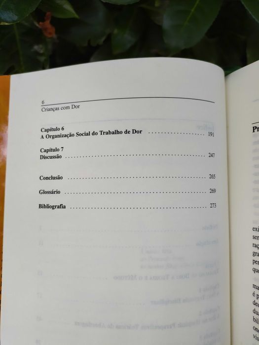 Crianças com dor: O quotidiano do trabalho de dor no hospital