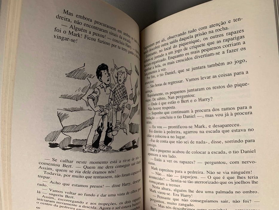 As Aventuras dos 4 Gémeos - Férias na Quinta