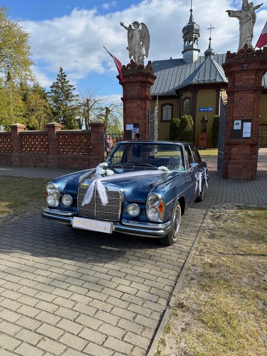 Auto na ślub Mercedes-Benz W108 luksus i prestiż w najlepszym wydaniu!