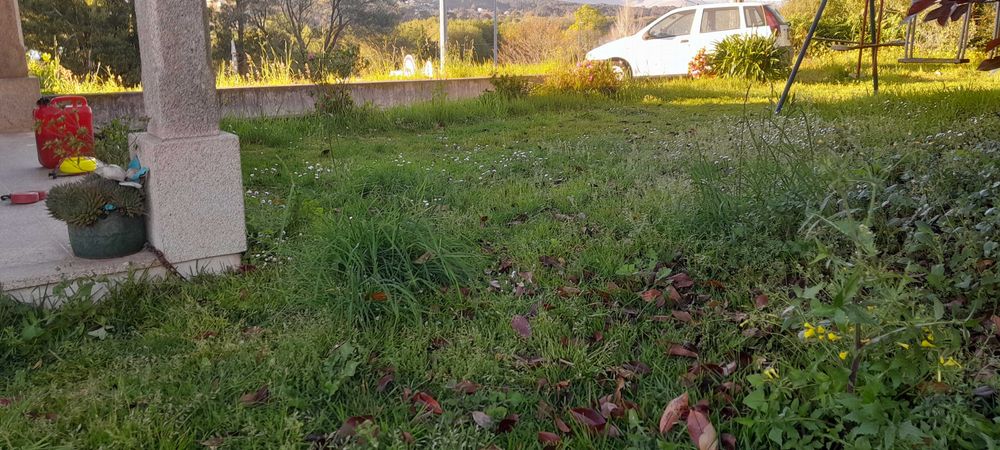 ServiLimpezas terrenos