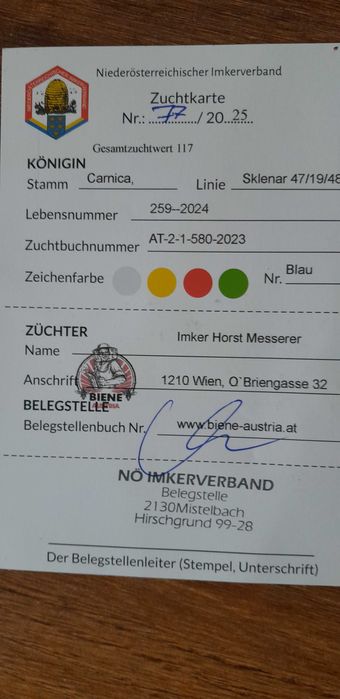 Odkłady pszczele 2026, ramka wielkopolska, dadant.