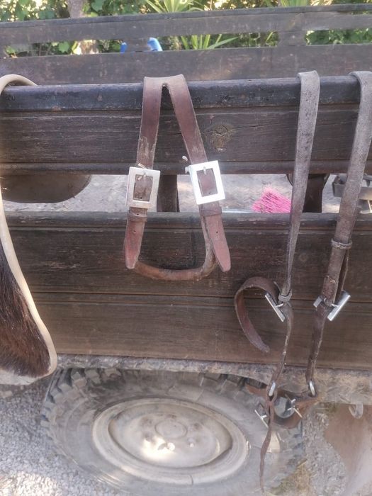 Utensílios para cavalo