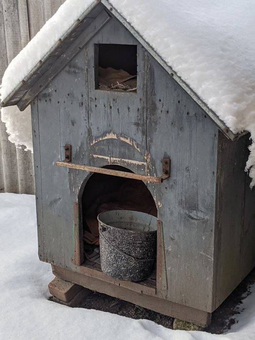 Буда собача велика