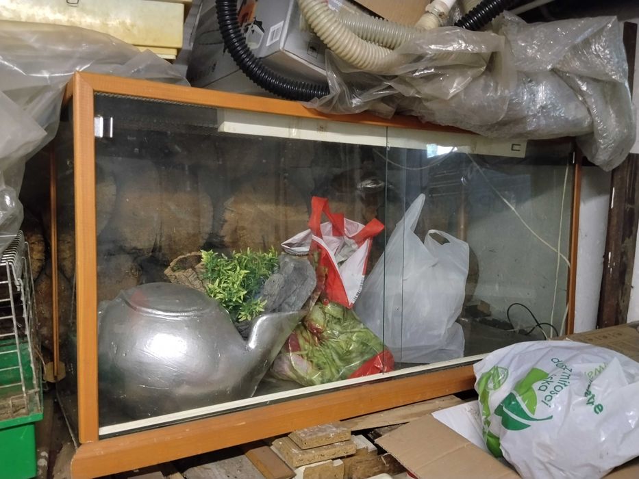 Duże terrarium. OPOLE