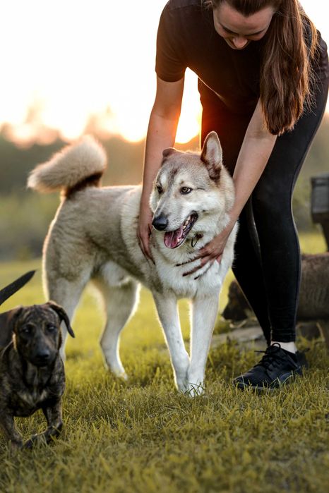 Logan poszukiwany nagroda 5000 zł