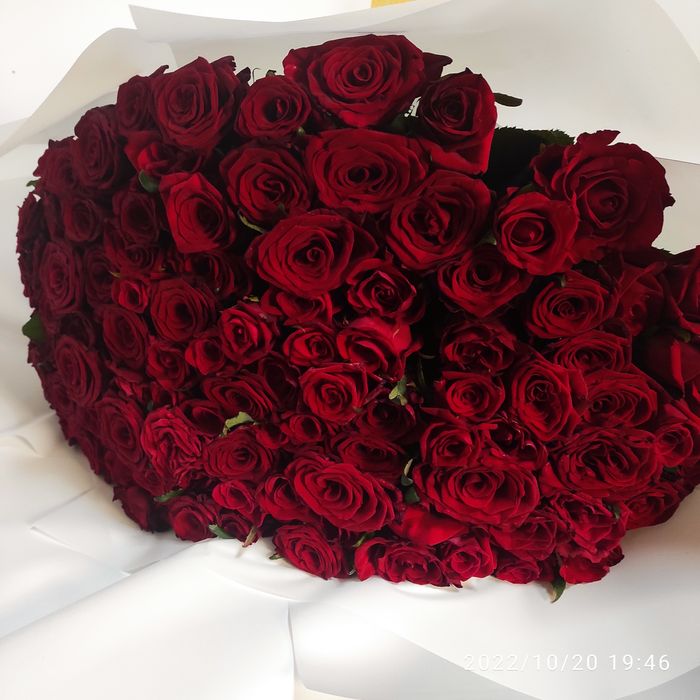 Роза Днепр!  Доставка цветов Днепр!