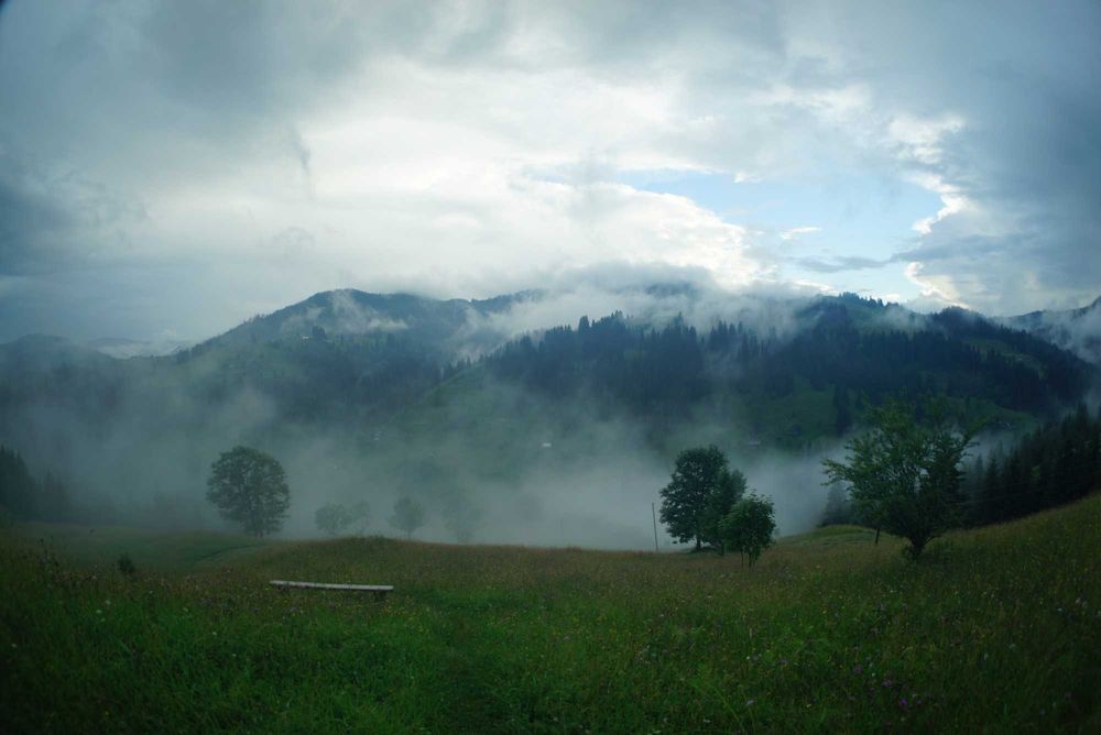 Продам Землю Карпаты Косовский район Ивано-Франковска область
