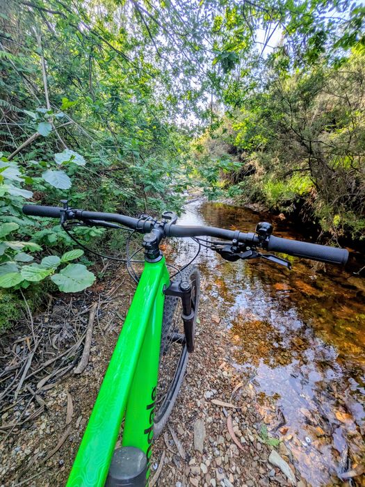 Cannondale Trail SL3