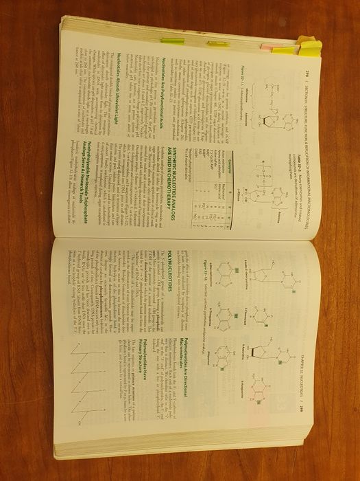 harper's illustrated biochemistry
