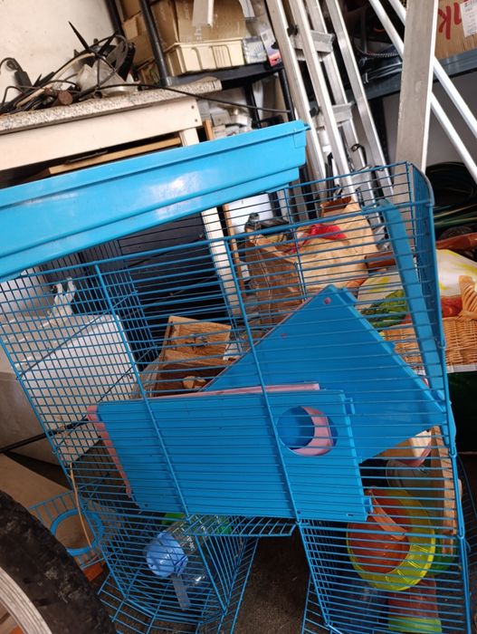 Gaiola para hamster