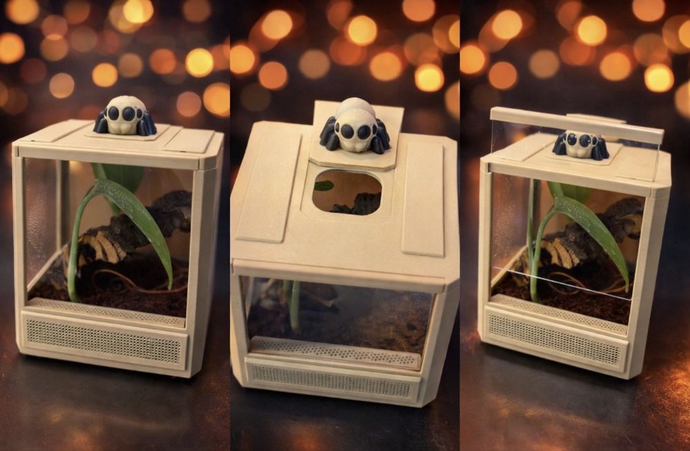 Skakun box  terrarium dla skakuna