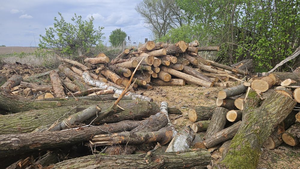 Drewno metry lub klocki opalowe kominkowe