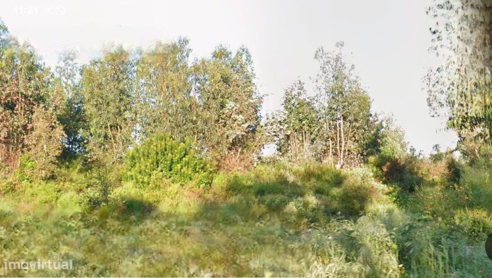 Terreno Rustico 21 360M2 - Santarem