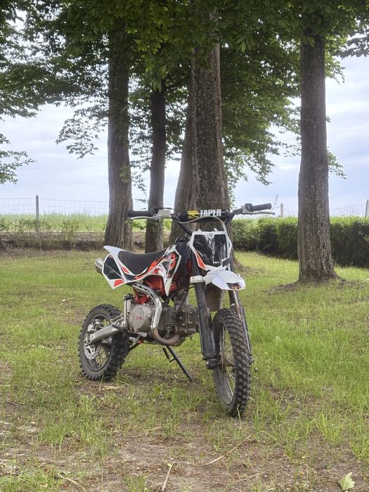 Kayo 125 TD 4 t r 2022