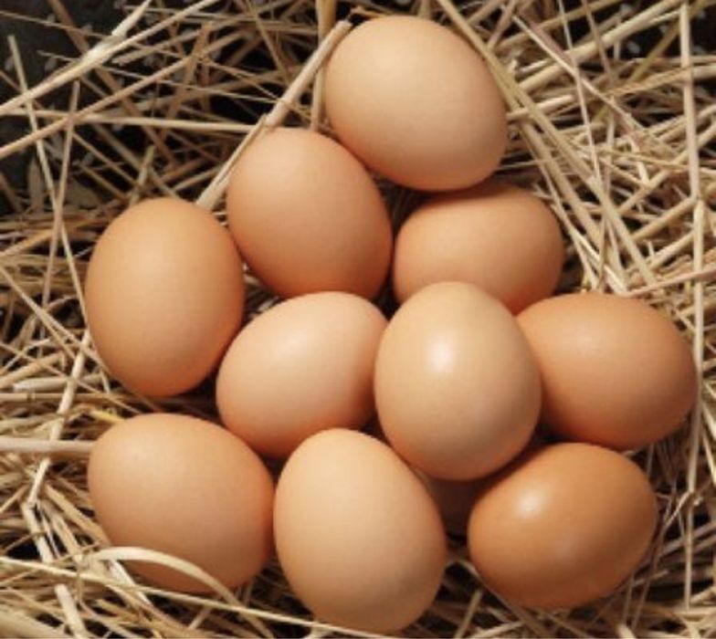 яйця домашні