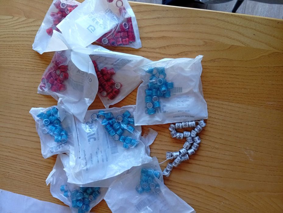 Obrączki dla gołębi,nowe, nie używane w opakowaniach z roczników 2020,2021,2022 ponad 200szt rowniez obrączki i karty kolekcjonerskie,metalowe t