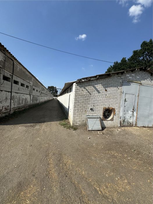 Продам помещение с. Голубовка