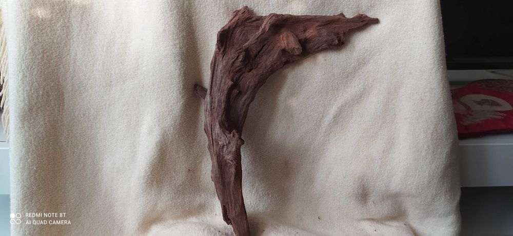 Korzeń 5 drift-36cm