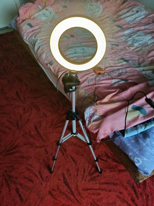 Лампа   кільцева