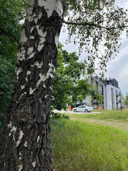 Apartament Gdańsk Venice AMB