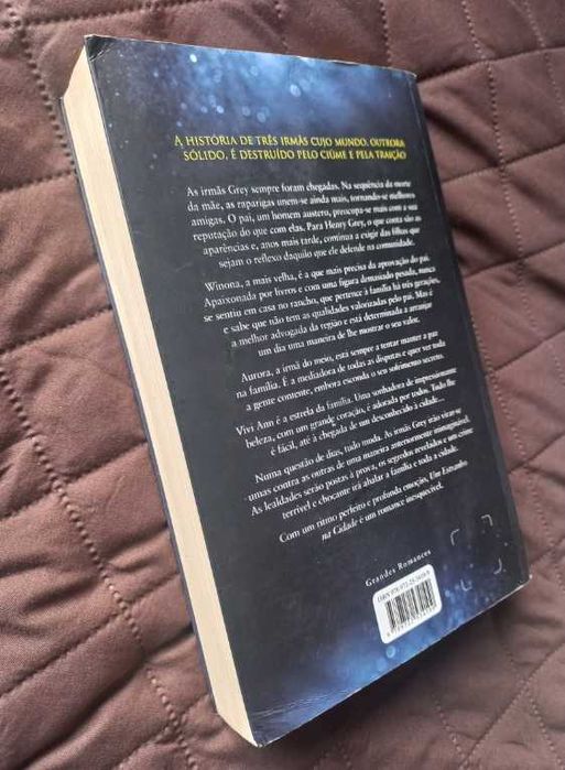 Um Estranho na Cidade - Kristin Hannah