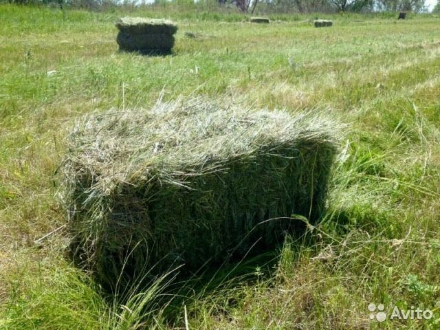 Продам сено и солому в тюках