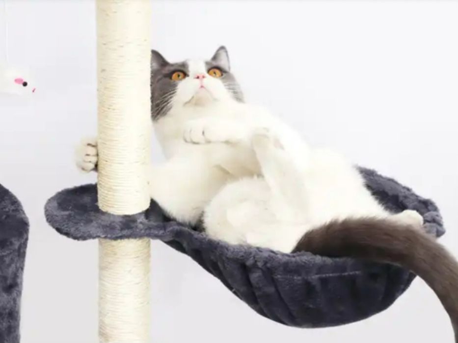 Когтеточка, ліжко, когтеточка, вишка 101 - 138 см