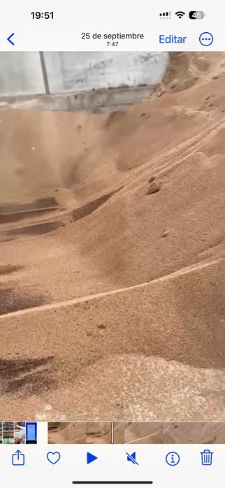 Caroço de Azeitona Portuguesa com baixo teor de humidade (-15%)