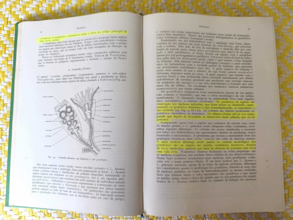 Guia de trabalhos práticos de Zoologia –  W Kukenthal - Ernest Matthes