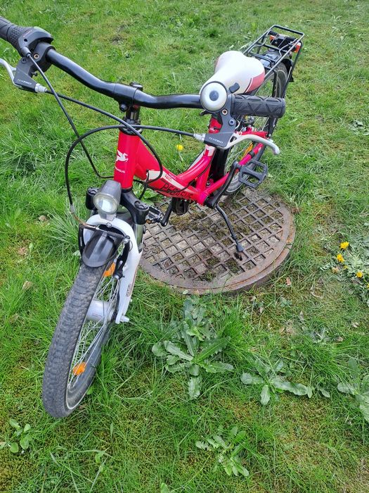 Rower 20cali Pegasus avanti