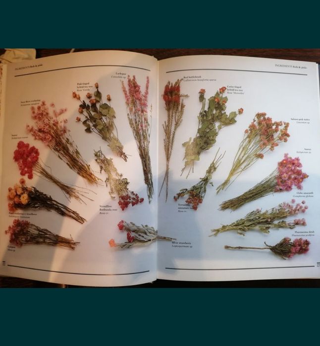 Flores Secas. Faça o seu Jardim em Vasos