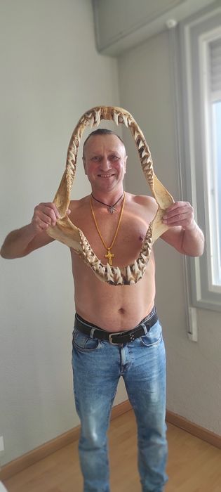 Челюсти больше. Акулы Мако