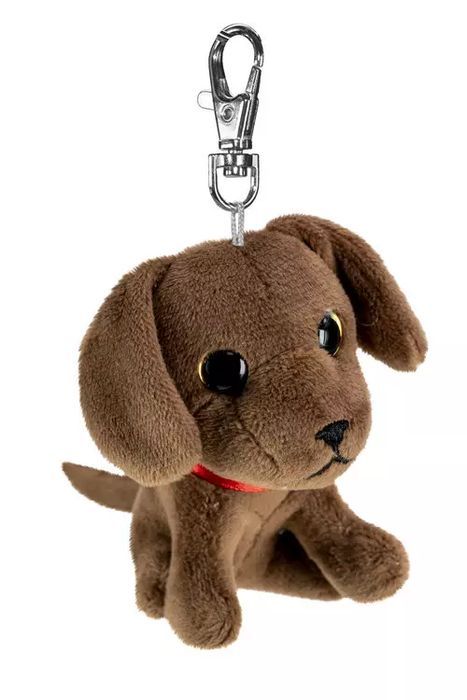 Lumo Labrador retriever Choco mini. Tactic