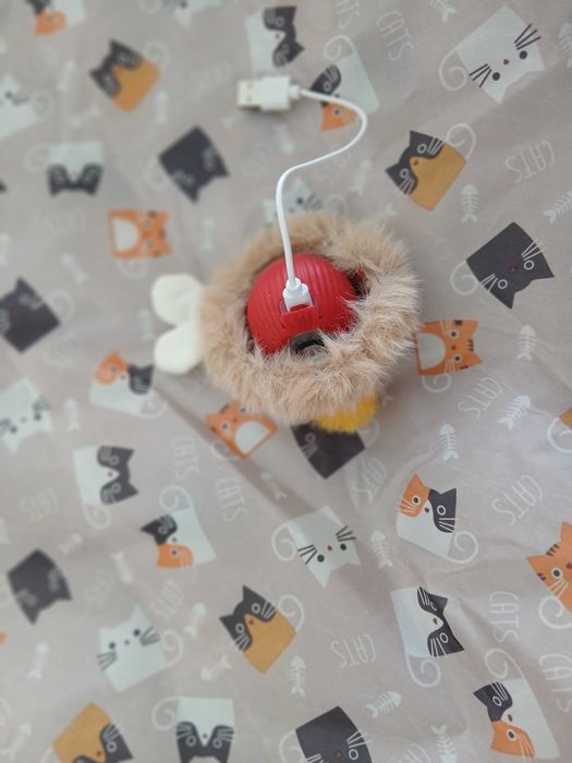 Brinquedo interativo para gato