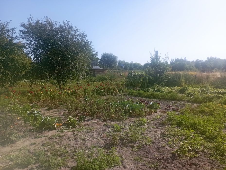 Продам земельний пай