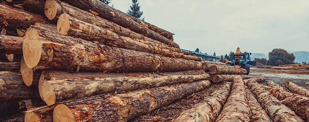 Więźba | łaty | krawędziaki | deski | suszenie | transport