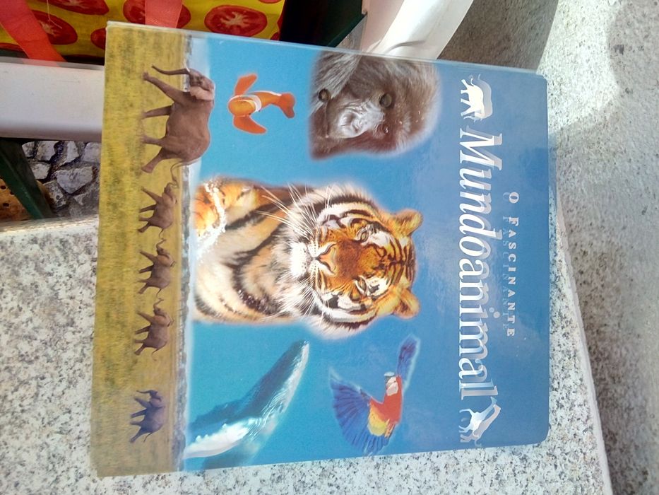 The Fantastic Animal World + Computing for Everyone from Reader's Digest Selections64730274688769120