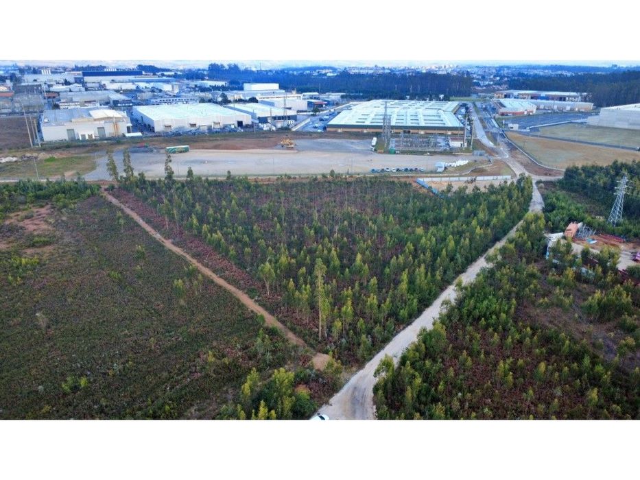 Terreno industrial em Albergaria a Velha