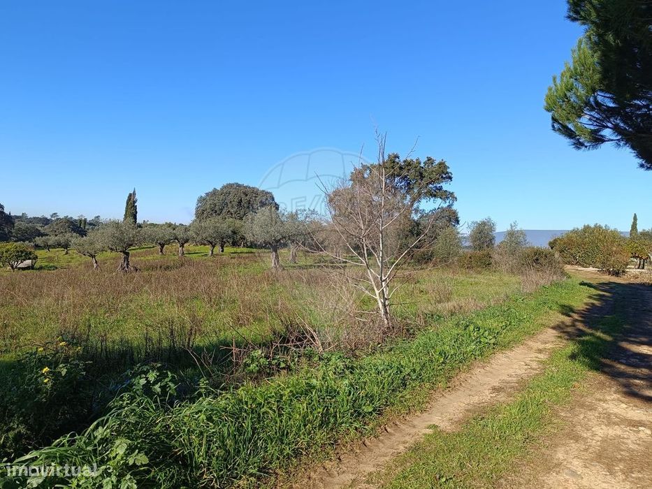 Terreno  para venda
