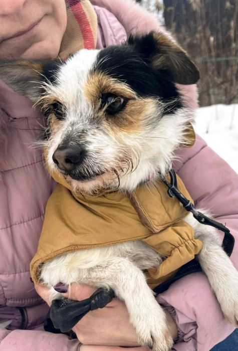 Kochany Cynamonek błaga o dom.