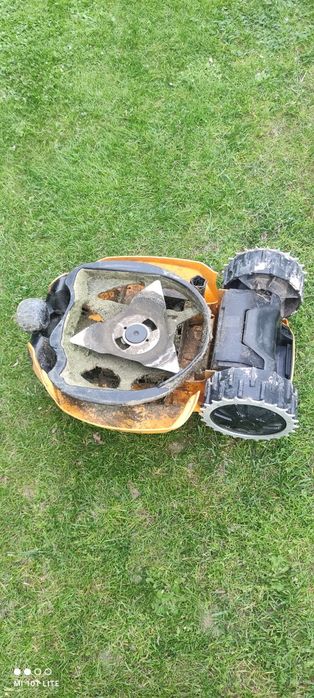 Robot koszący Cub Cadet.