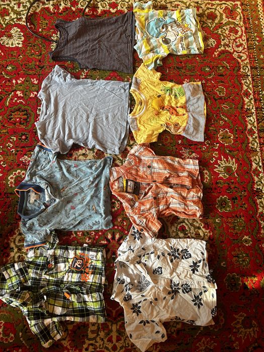 Отдам бесплатно