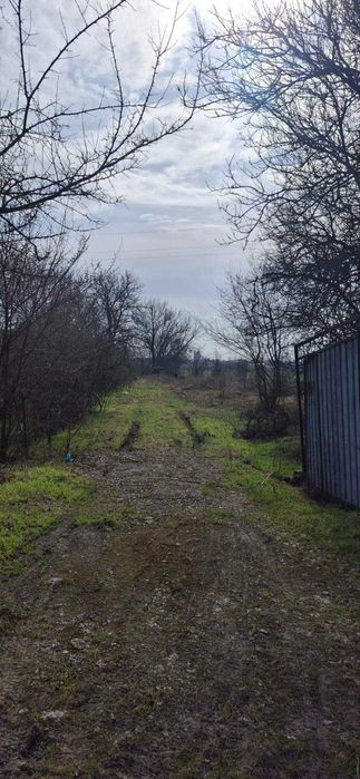 Продам будинок в с. Лобойківка