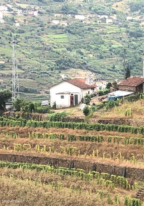 Venda de Quinta - Vistas do rio Douro